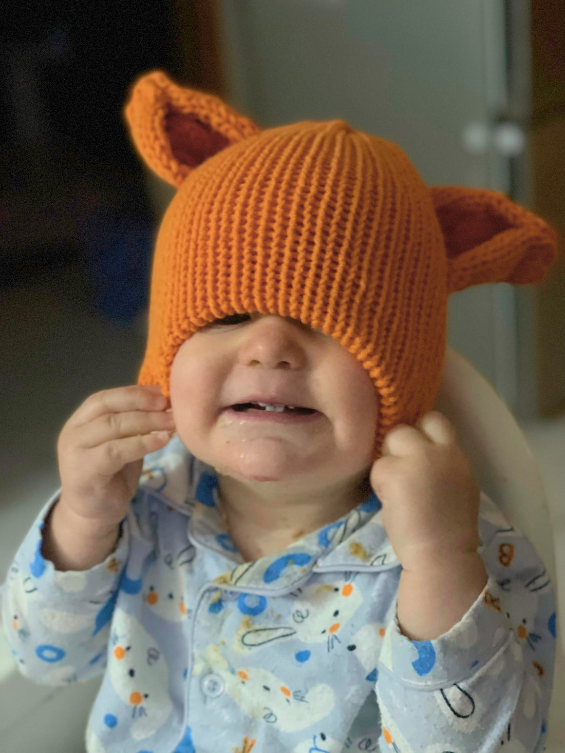 I Went to the Zoo – Animal Beanie Pattern
