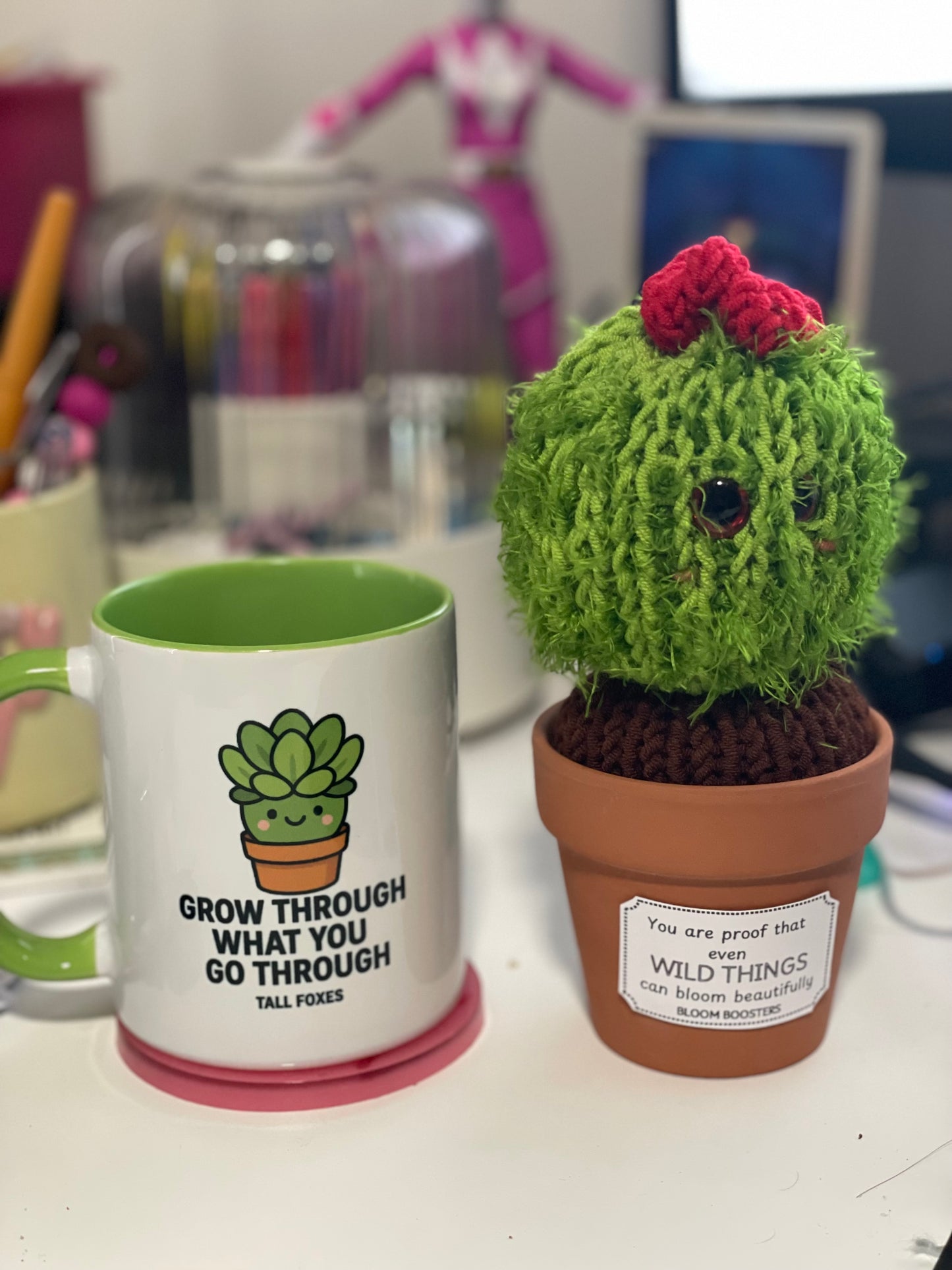 Desk Buddies Gift Pack