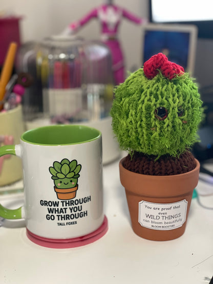 Desk Buddies Gift Pack