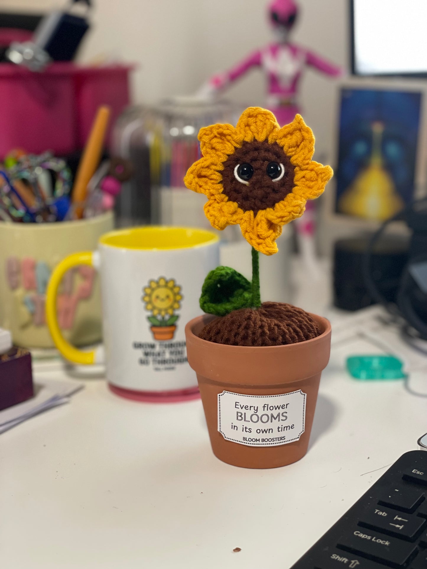 Desk Buddies Gift Pack