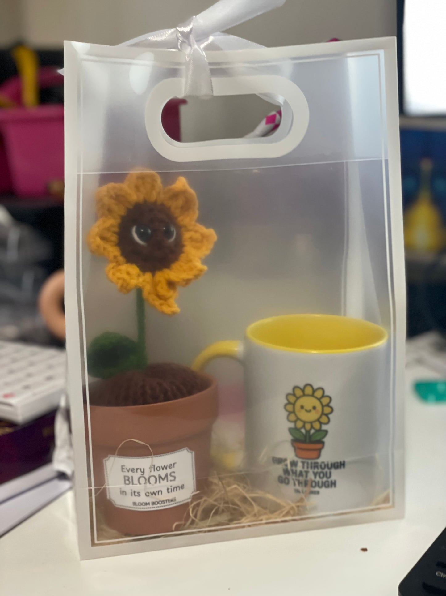 Desk Buddies Gift Pack