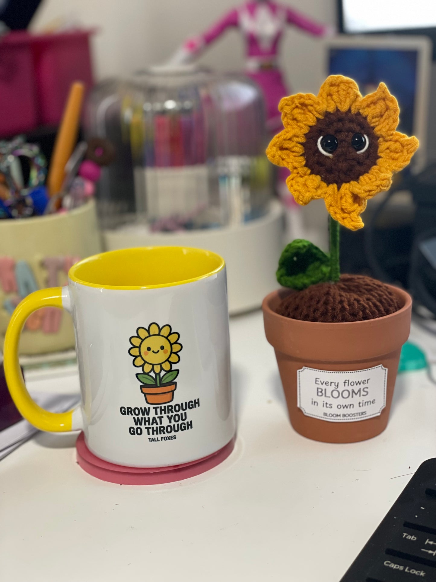 Desk Buddies Gift Pack