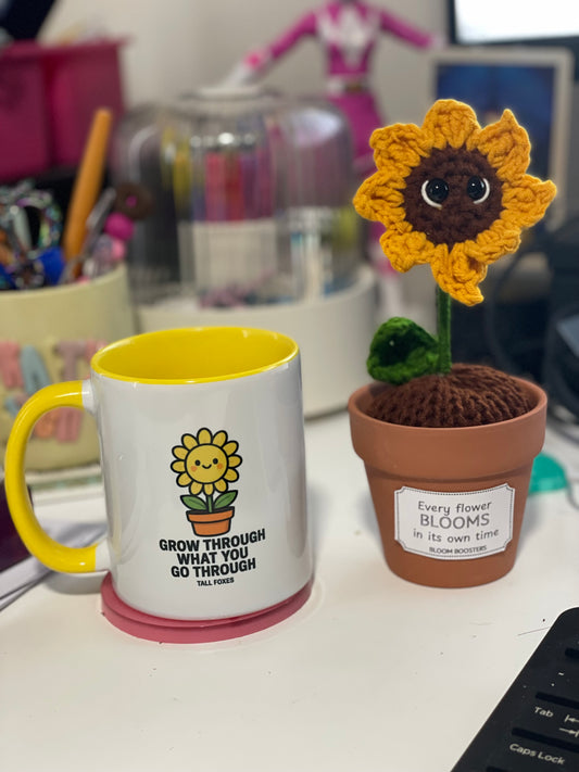 Desk Buddies Gift Pack