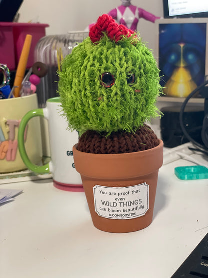 Desk Buddies Gift Pack