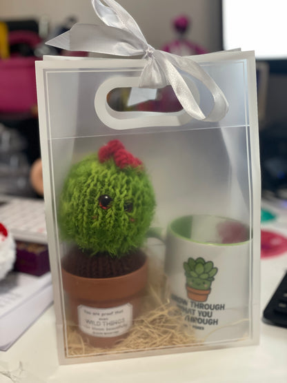 Desk Buddies Gift Pack